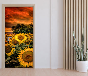 3D Sunflower 122136 Marco Carmassi Door Mural