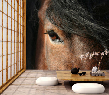3D Horse Eye 177 Wall Murals
