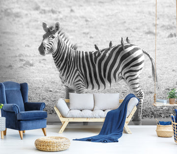 3D River Zebra 354 Wall Murals