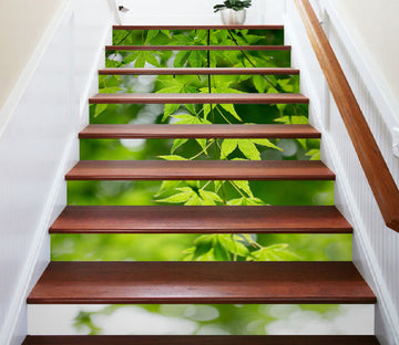 3D Verdant Green Leaves 273 Stair Risers