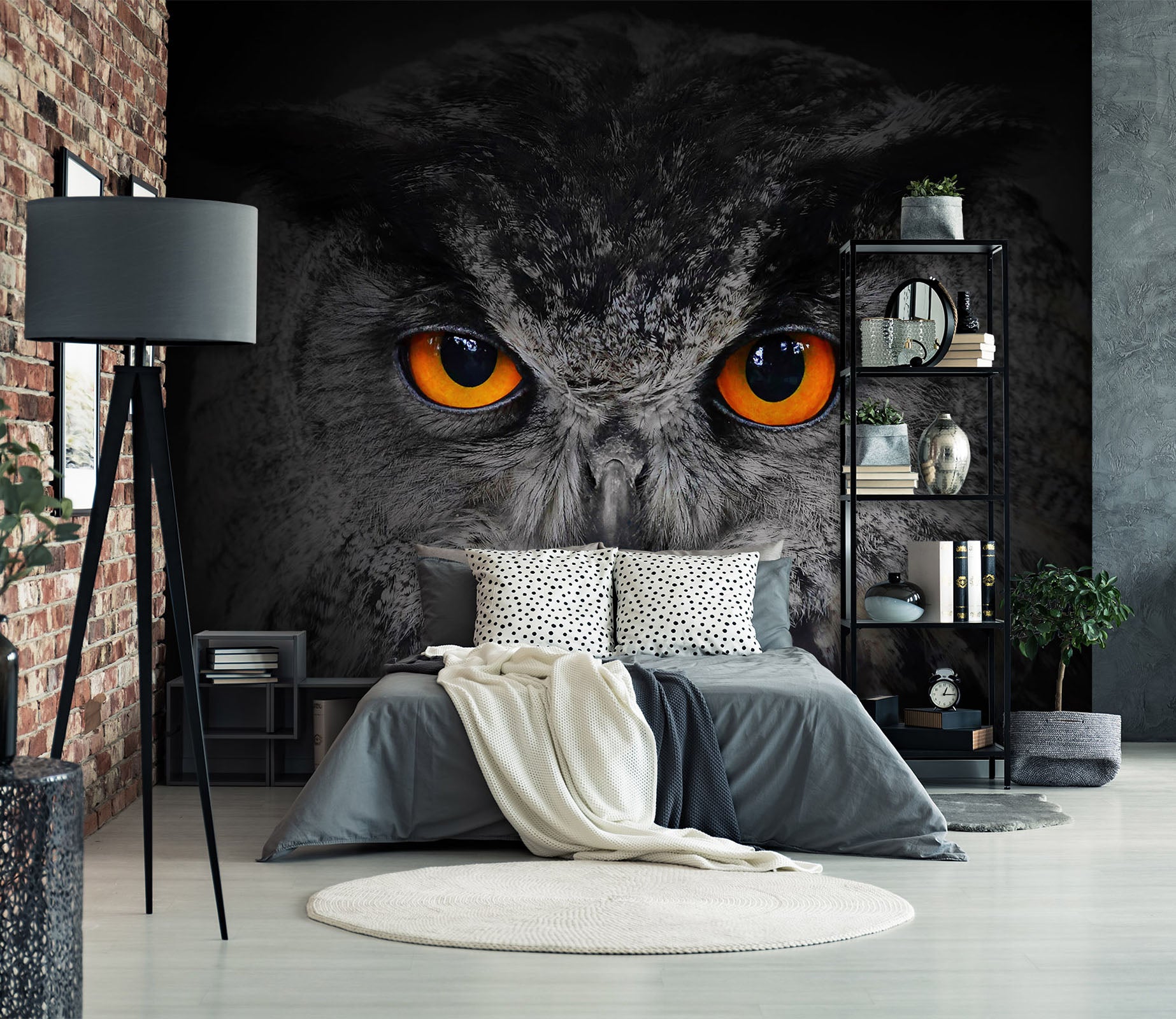 3D Owl 1717 Wall Murals