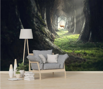 3D Forest Elk WC1020 Wall Murals