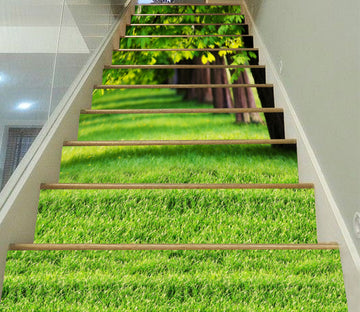 3D Clean Green Lawn 167 Stair Risers