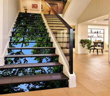 3D The Sky In The Tree Gap 089 Stair Risers