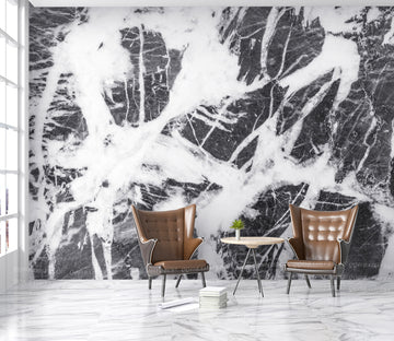 3D Black Slate WG295 Wall Murals