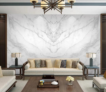 3D White Marble WC2457 Wall Murals