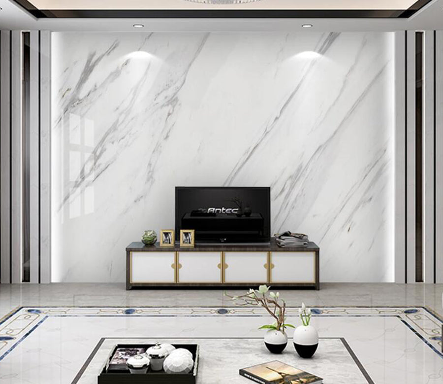 3D Gray Line WC2569 Wall Murals