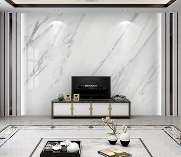 3D Gray Line WC2569 Wall Murals