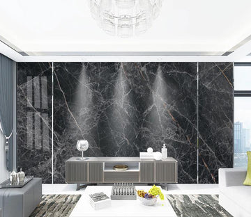3D Black Marble WC2476 Wall Murals
