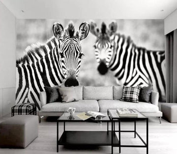 3D Zebra Grassland WG602 Wall Murals