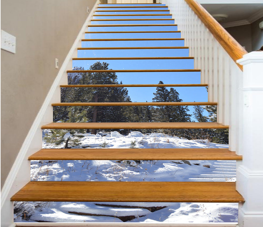 3D The First Melting Of The Snow 114 Stair Risers
