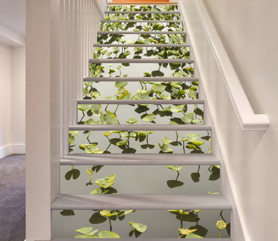 3D Clean Lotus Leaves 081 Stair Risers