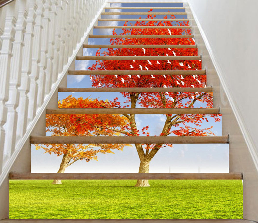3D Fall And Summer 151 Stair Risers