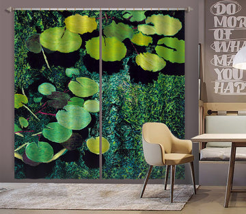 3D Lotus Leaf 285 Allan P. Friedlander Curtain Curtains Drapes