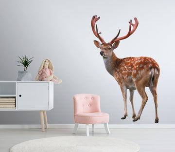 3D Sika Deer Turning Head 127 Animals Wall Stickers Wallpaper AJ Wallpaper 