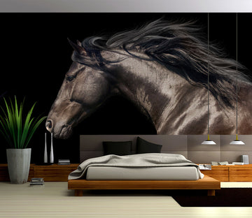3D Brown Horse 300 Wall Murals