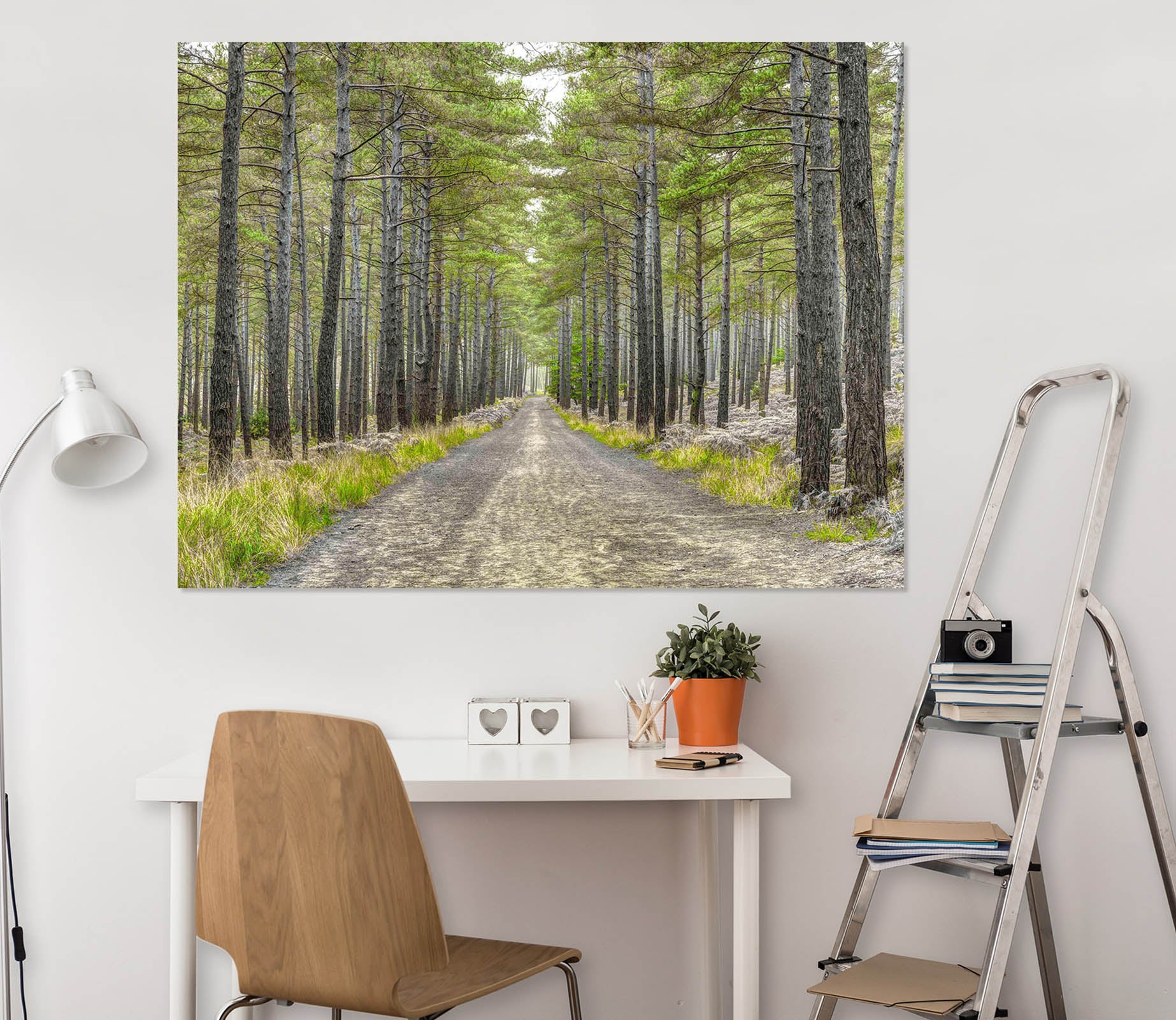 3D Forest Path 042 Assaf Frank Wall Sticker