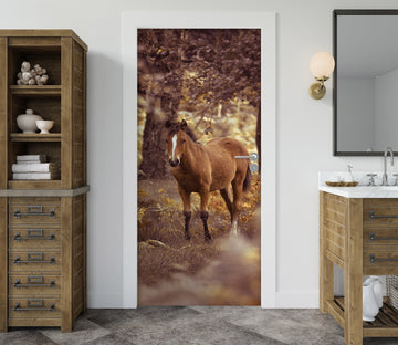 3D Horse 106217 Assaf Frank Door Mural