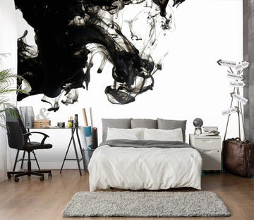 3D Ink And Wash 1707 Wall Murals