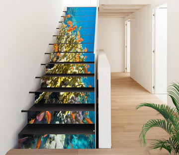 3D Beautiful Fish Under The Sea 376 Stair Risers