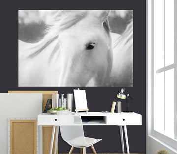 3D White Horse 142 Marco Carmassi Wall Sticker