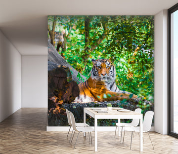 3D Siberian Tiger 343 Wall Murals