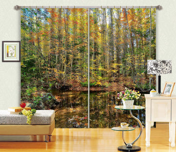 3D Pond Reflections 62159 Kathy Barefield Curtain Curtains Drapes