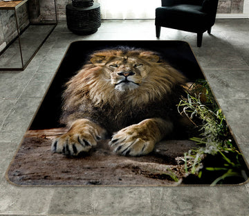 3D Plush Lion 210 Animal Non Slip Rug Mat