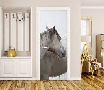 3D Horse 11471 Marco Carmassi Door Mural