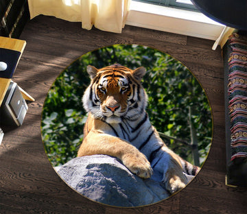 3D Tiger King 104 Animal Round Non Slip Rug Mat Mat AJ Creativity Home 