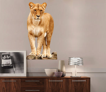 3D Standing Leopard 002 Animals Wall Stickers Wallpaper AJ Wallpaper 