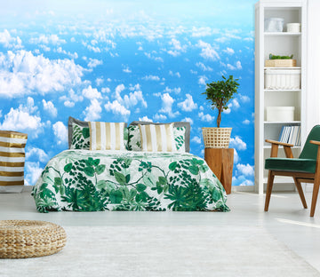 3D Blue Sky 1643 Wall Murals