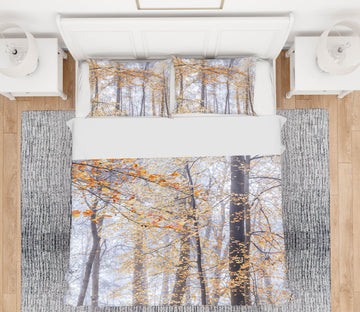 3D Autumn Branches 7226 Assaf Frank Bedding Bed Pillowcases Quilt Cover Duvet Cover