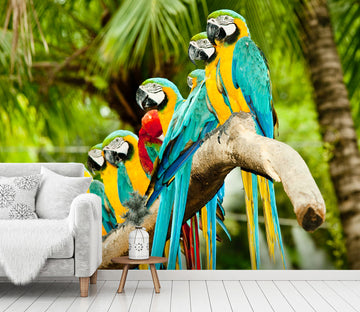 3D Blue Parrot 440 Wall Murals