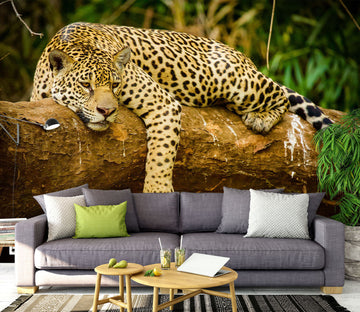 3D Leopard 1475 Wall Murals