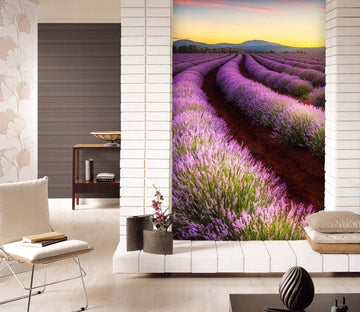 3D Lavender Grassland 081 Wall Murals