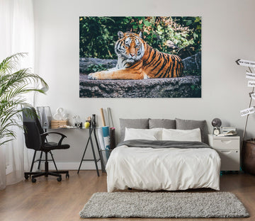 3D Tiger In The Forest 15 Animal Wall Stickers Wallpaper AJ Wallpaper 2 