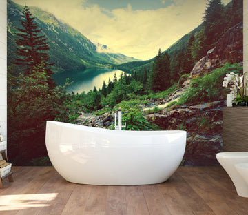 3D Mountain Forest Lake 123 Wall Murals