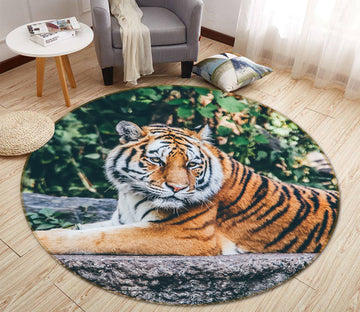 3D Forest Tiger 016 Animal Round Non Slip Rug Mat Mat AJ Creativity Home 