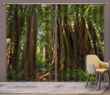 3D Old Forest 066 Kathy Barefield Curtain Curtains Drapes