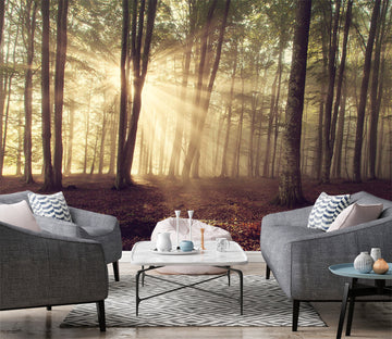 3D Sunset Forest 86 Wall Murals