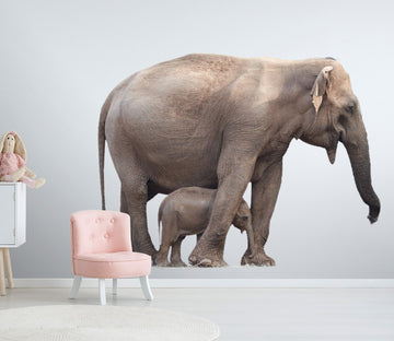3D Elephant Mother And Baby 129 Animals Wall Stickers Wallpaper AJ Wallpaper 