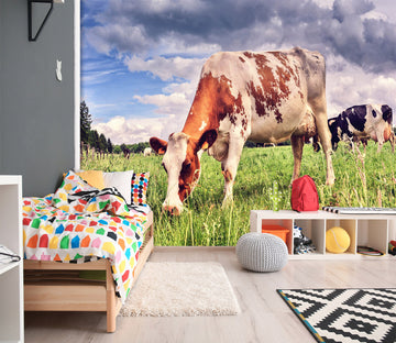 3D Lawn Cow 294 Wall Murals