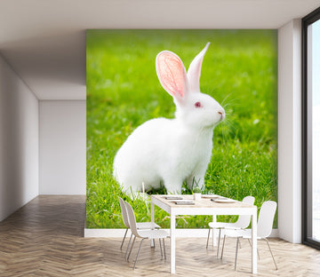 3D Lawn Rabbit 104 Wall Murals