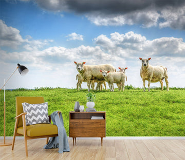 3D Grass Sheep 230 Wallpaper AJ Wallpaper 