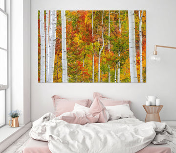 3D Color Forest 109 Marco Carmassi Wall Sticker
