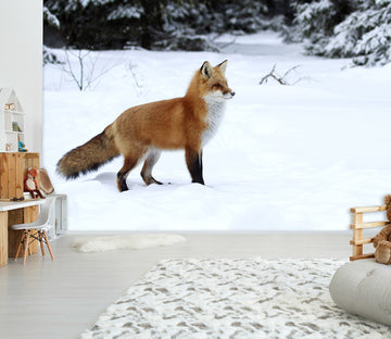3D Winter Snow Fox 103 Wall Murals