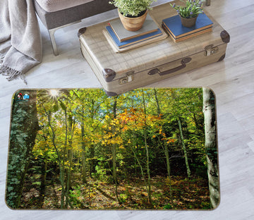 3D Fall In The Forest 62206 Kathy Barefield Rug Non Slip Rug Mat