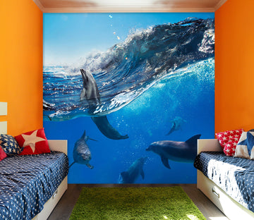3D Sea Dolphin 112 Wall Murals