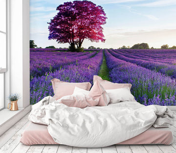 3D Lavender Field 1149 Wall Murals